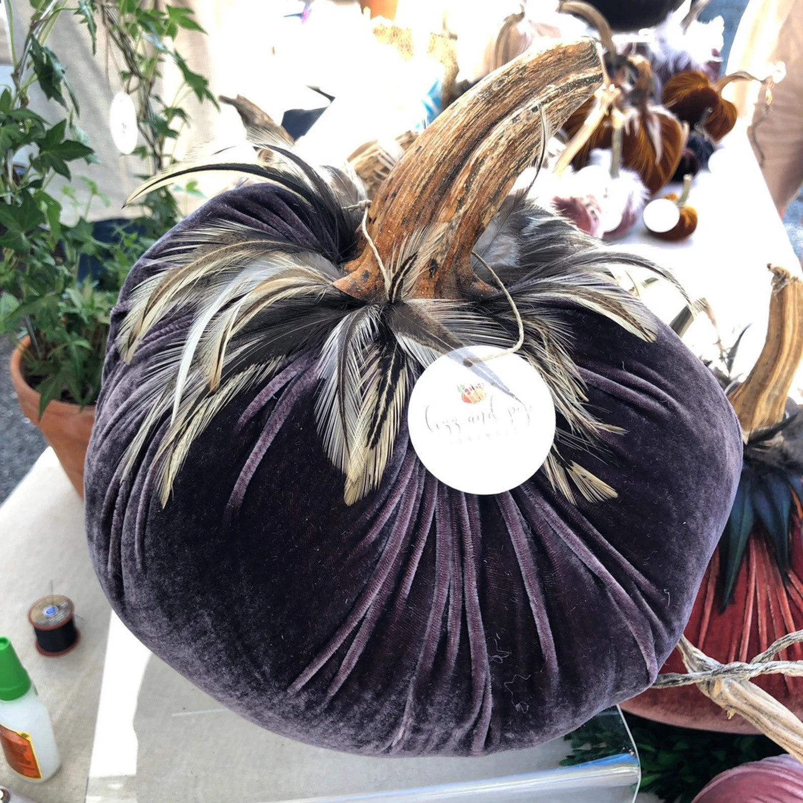 12 Amethyst Velvet Pumpkins with Real Pumpkin Stems and | Etsy | Etsy (US)