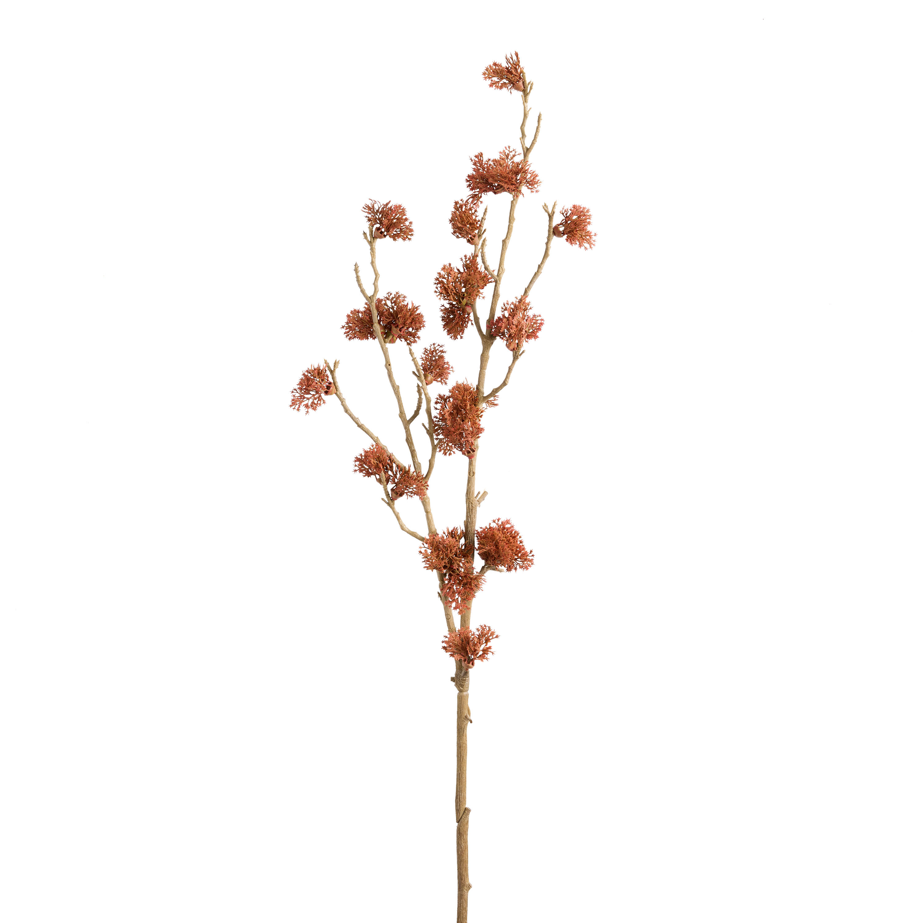 Faux Mossy Branch - World Market | World Market