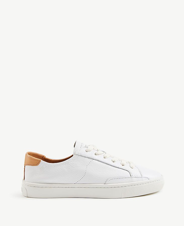 Soludos Ibiza Classic Sneakers | Ann Taylor (US)