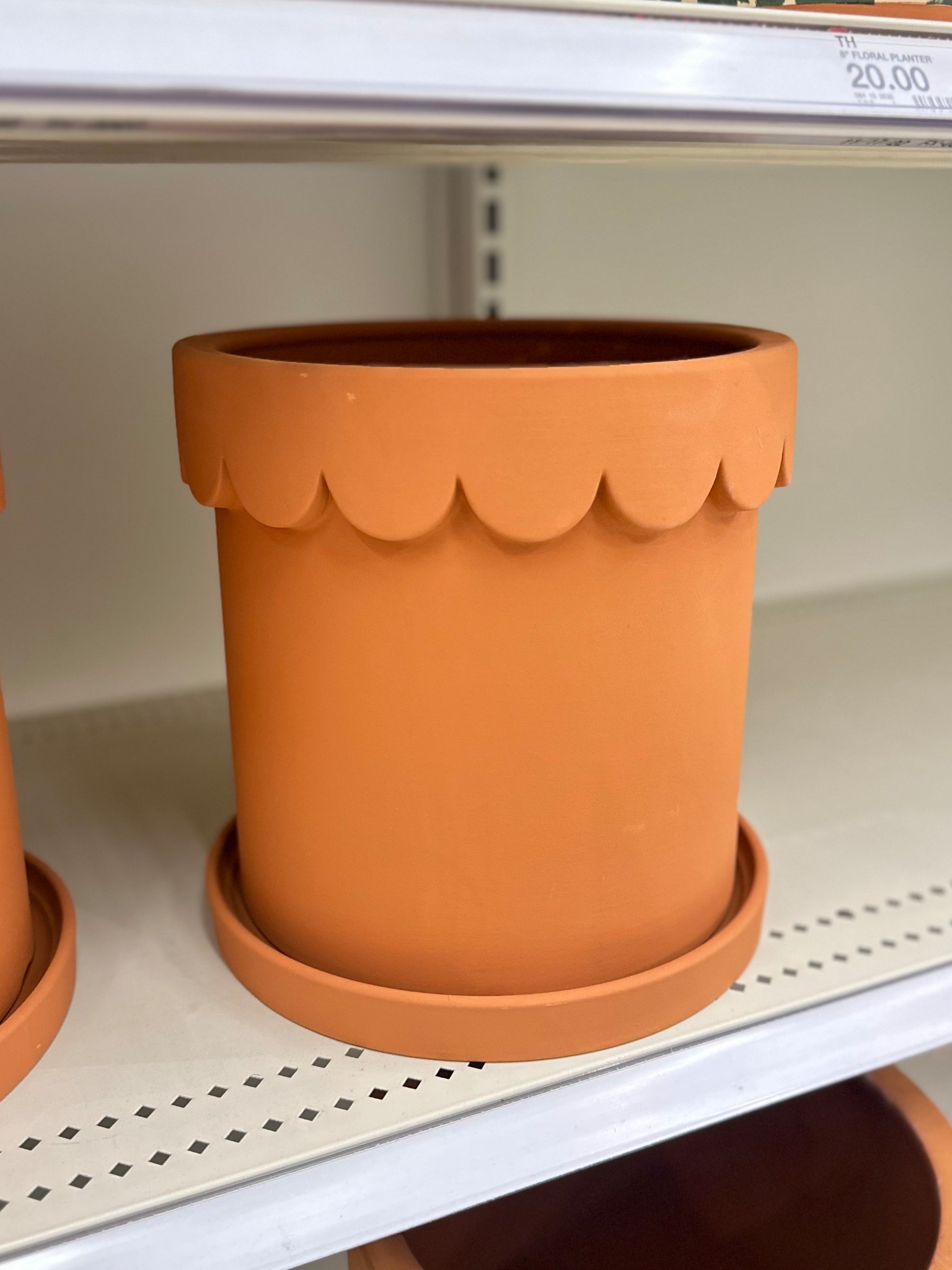 Just found the cutest terra cotta pot with a scslloped border.

This would be so cute, inside or outside, with a pretty plant inside.

It would also make a great gift for your plant loving friends. 

It also comes on green. 


Target finds • garden gifts • spring finds

#LTKHome