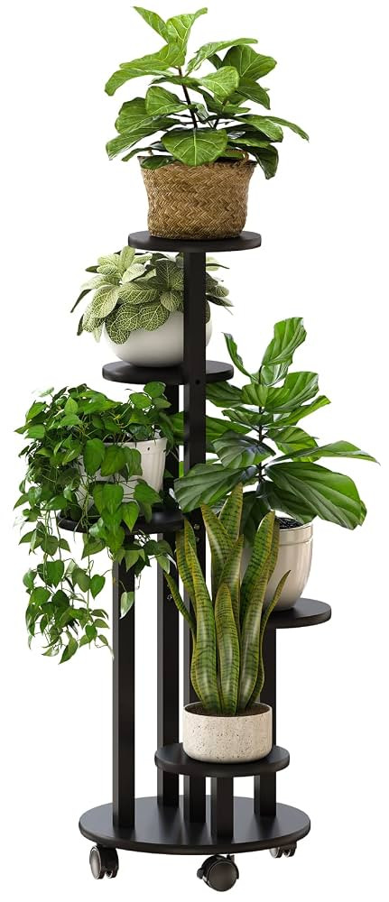 Brand: kiplant | Amazon (US)