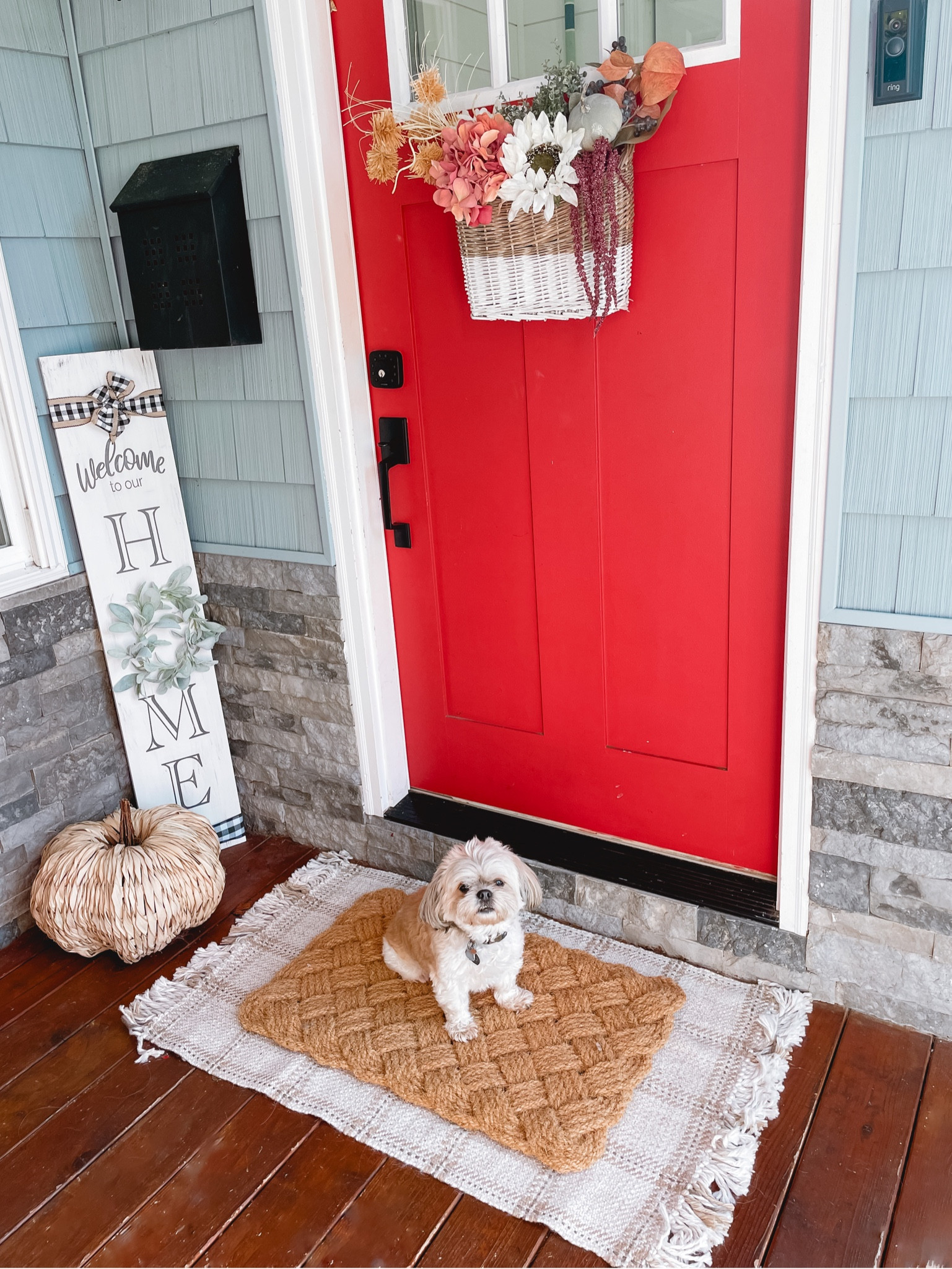 Outdoor entryway rug + mat for fall. 


#LTKhome #LTKSeasonal #LTKfindsunder50
