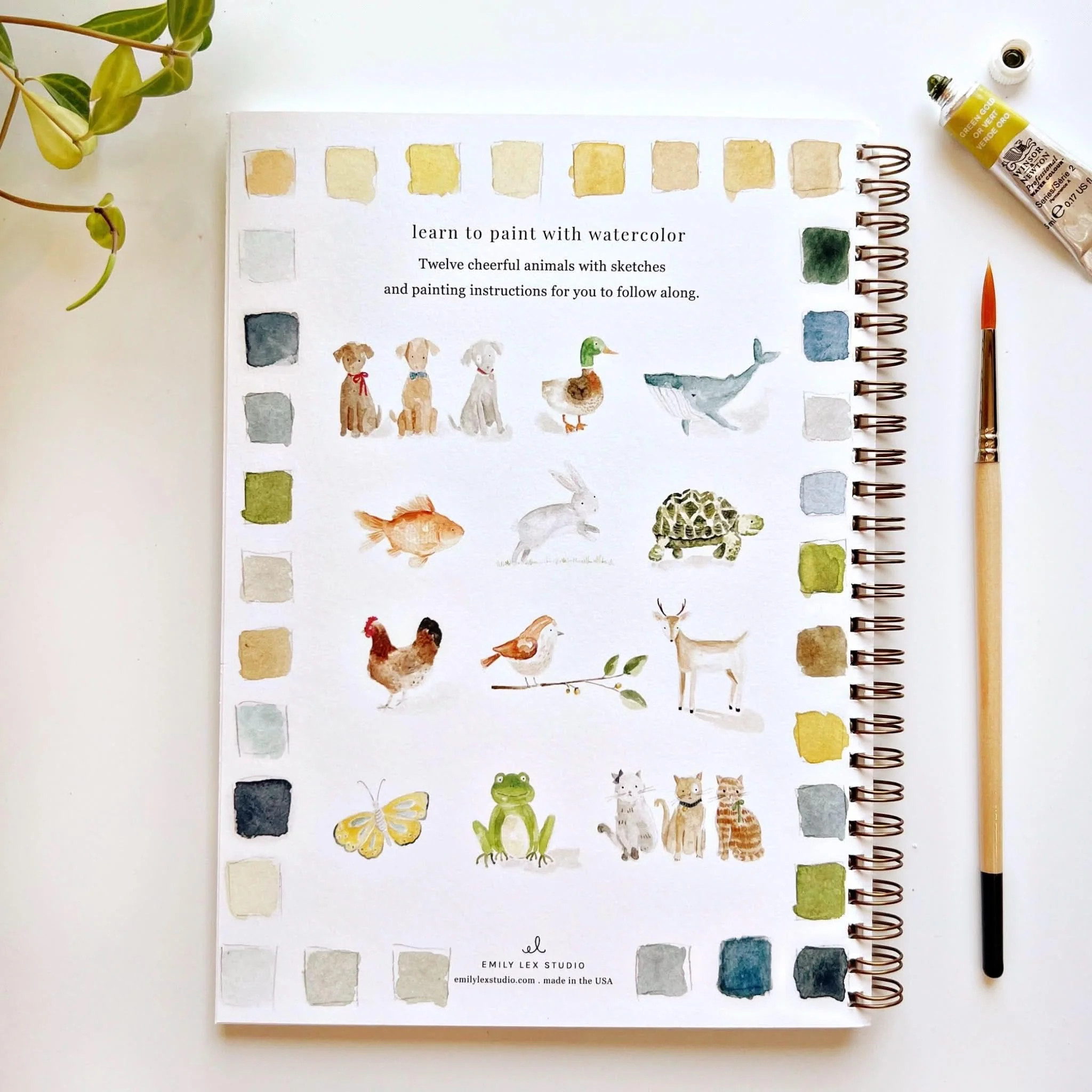 animals watercolor workbook | Emily Lex Studio
