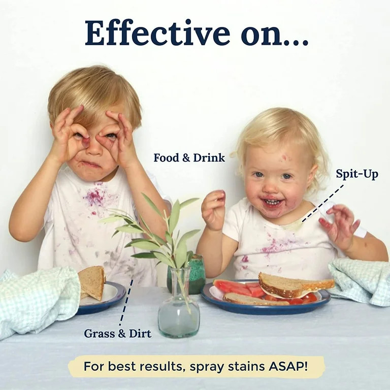 HATE STAINS CO Stain Remover for Clothes - 4oz Newborn Essentials for Purse - Miss Mouth's Messy ... | Walmart (US)