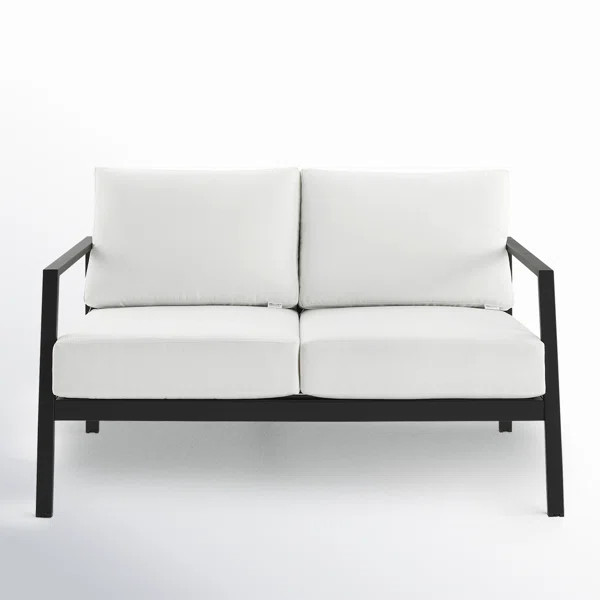Armando 51” Aluminum Outdoor Loveseat with Sunbrella Cushions | AllModern