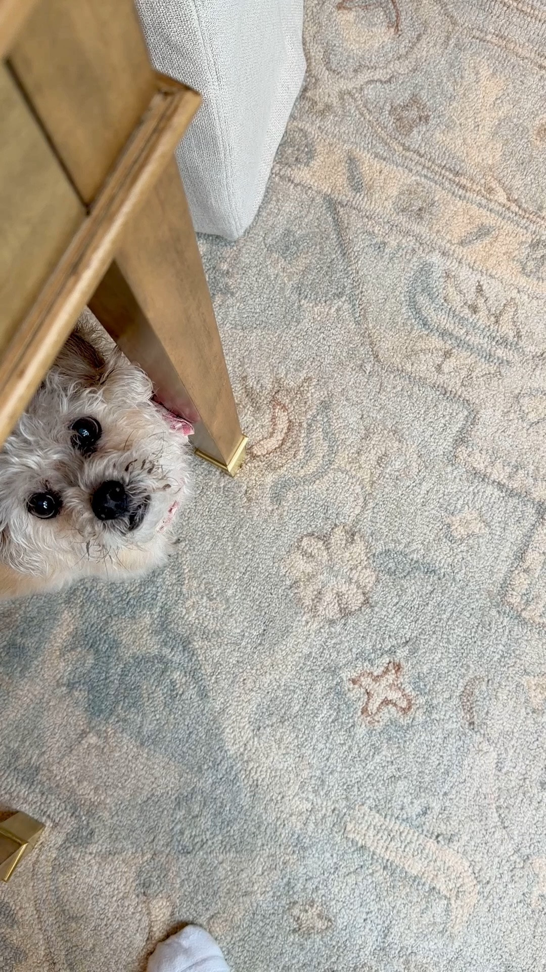Office rug!

#LTKdayinmylife #LTKHome #LTKSeasonal