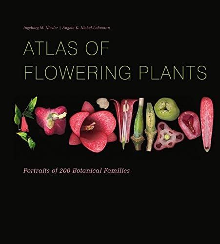 Atlas of Flowering Plants: Visual Studies of 200 Deconstructed Botanical Families | Amazon (US)