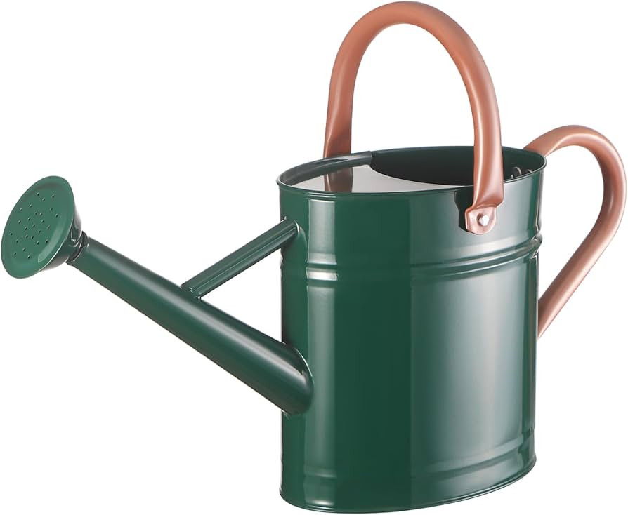 Watering Can for Outdoor Plants&Indoor Plants,Plant Watering Can 1 Gallon,Metal Flower Garden Wat... | Amazon (US)