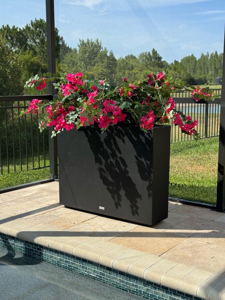 These Bougainvillea trees are gorgeous! Finally back in stock!

Nearly natural, UV safe Bougainvillea tree, rectangular planter, patio decor

#LTKHome #LTKFindsUnder100