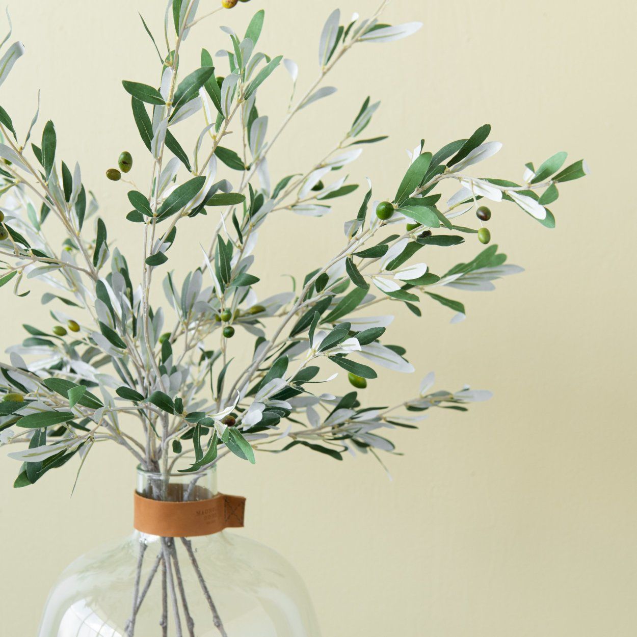 Olive Stem | Magnolia