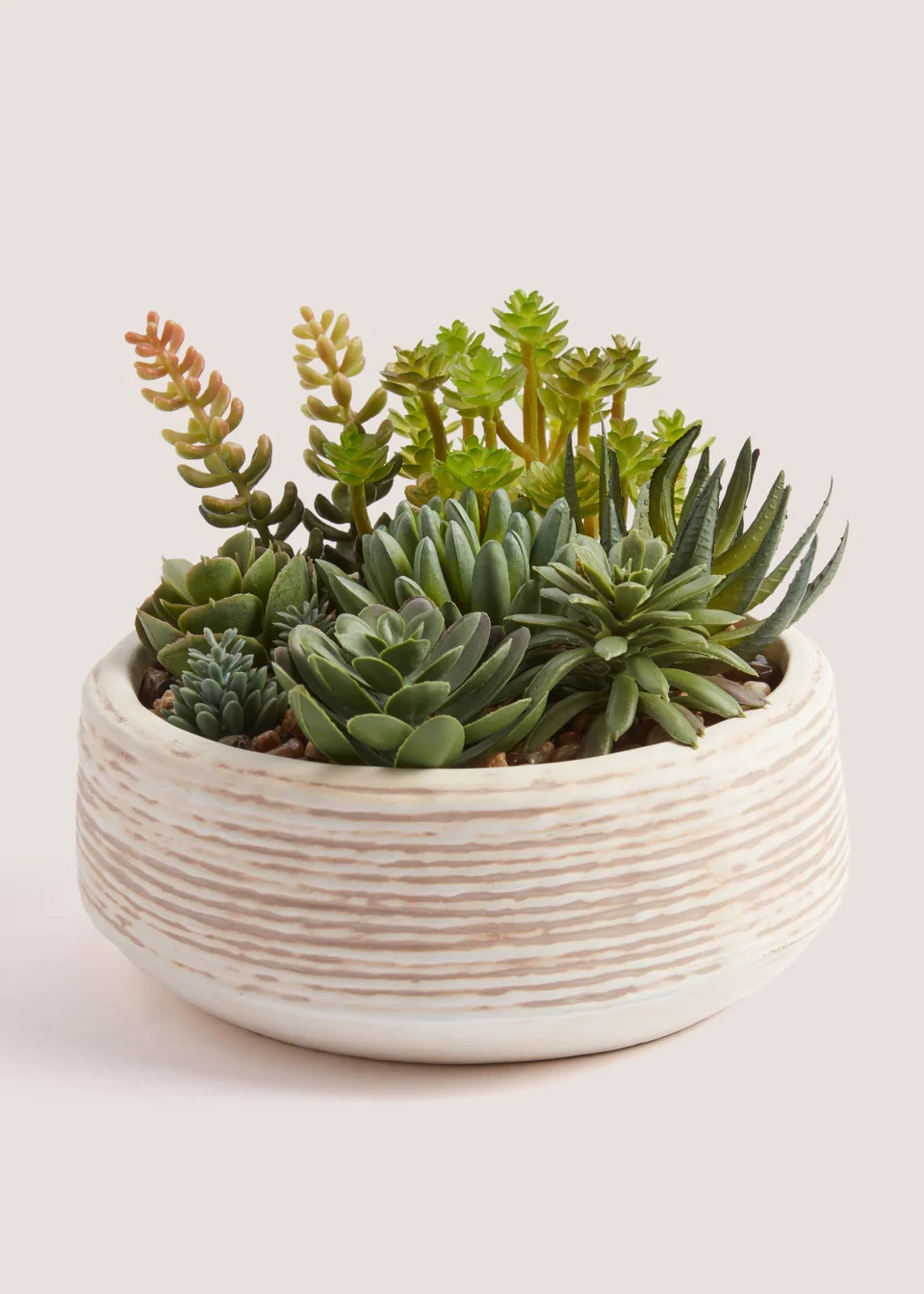 Cabana Succulents in Bowl (15cm x 14cm) | Matalan (UK)