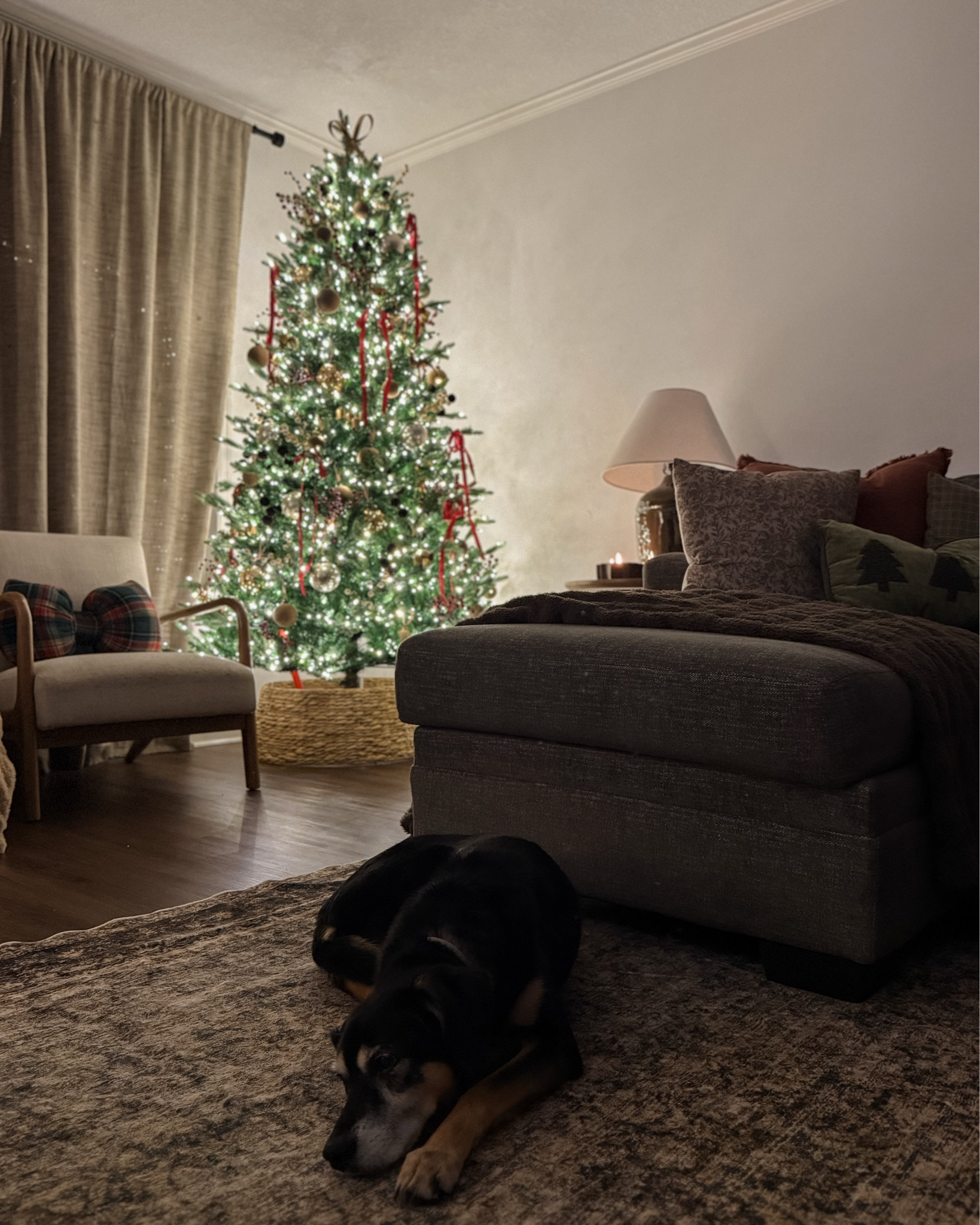 Christmas tree views at night ❤️ 

#LTKSaleAlert #LTKHome #LTKHoliday