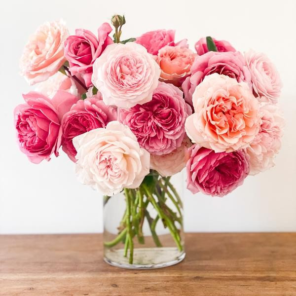 The Seraphina Bouquet | Grace Rose Farm