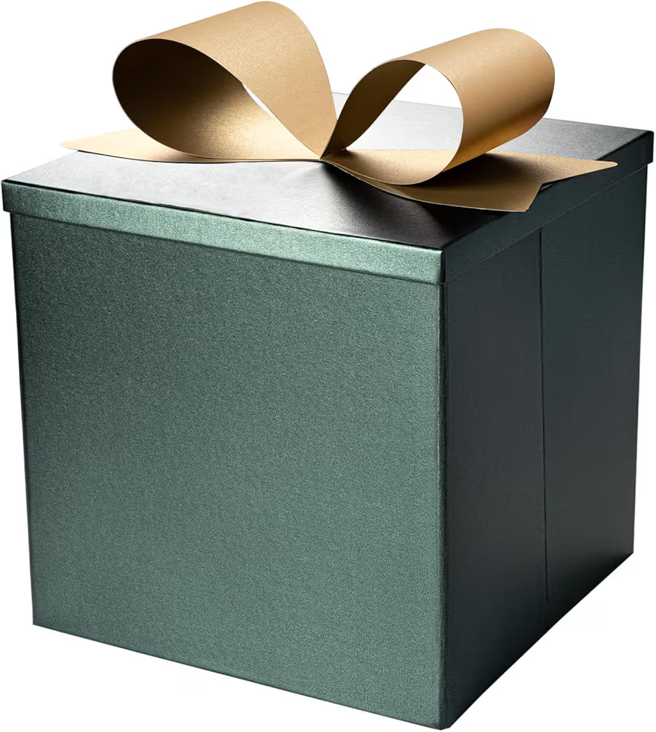 BIOBROWN Medium Gift Boxes with Lids for Presents, 9x9x9 Inches Red Collapsible Gift Box for Chri... | Amazon (US)