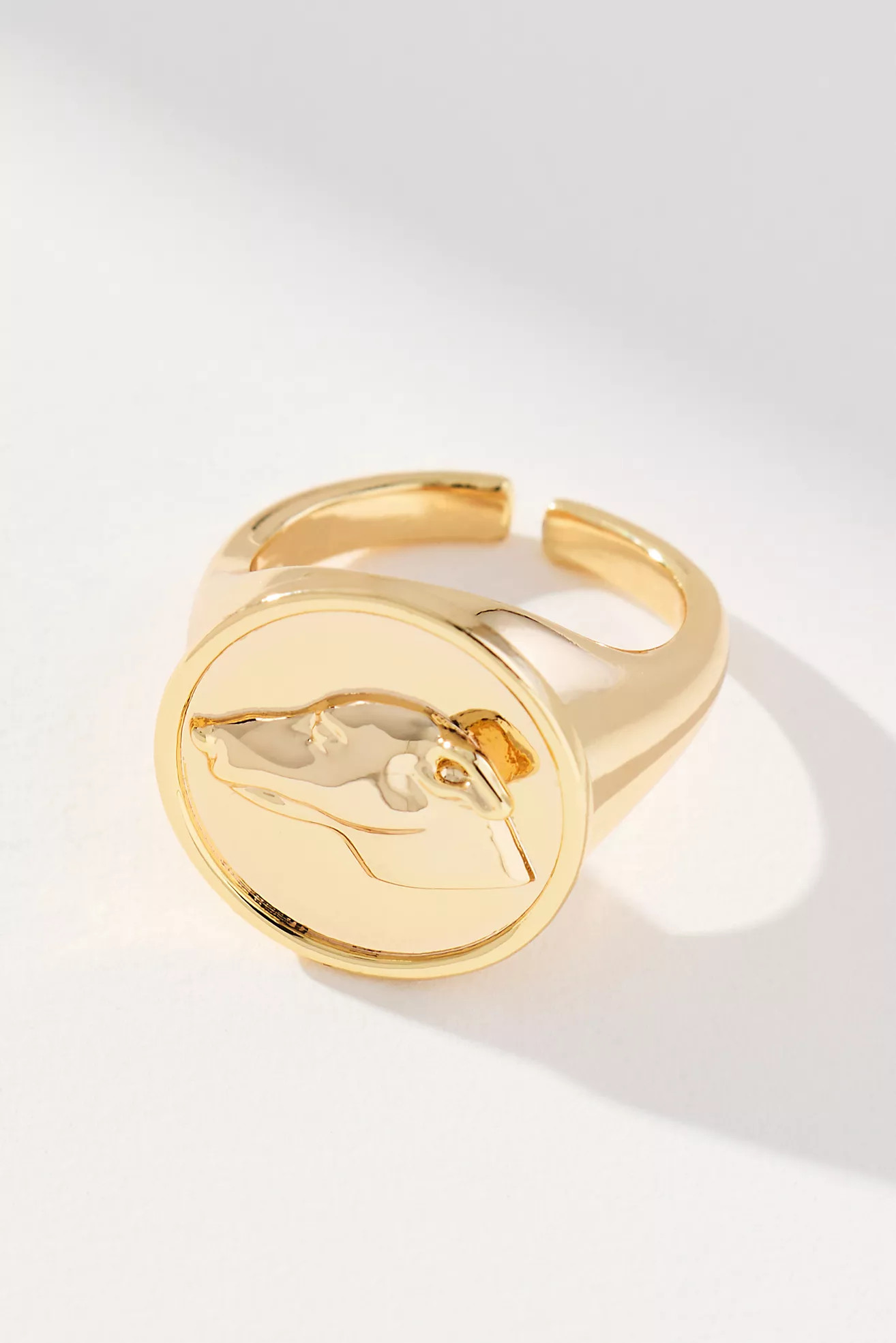 Dog Icon Cocktail Ring | Anthropologie (US)