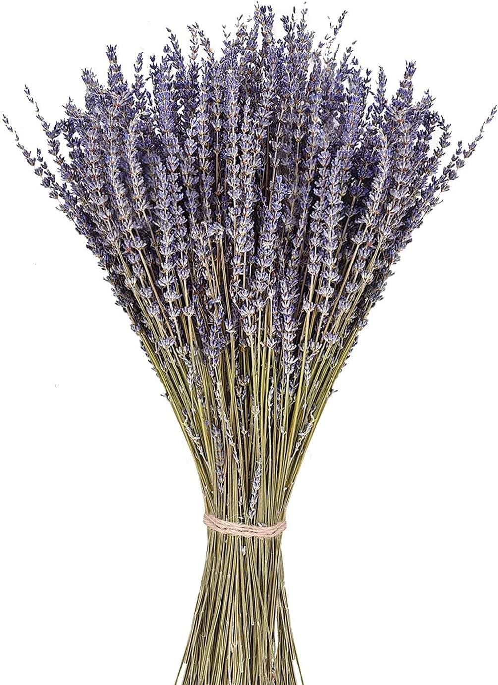 June Fox Dried Lavender Flowers 270-300 Stems 100% Natural Dried Lavender Bunches for Home Deco... | Amazon (US)