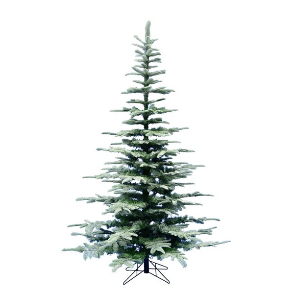 Frosted Ardwell 6' Green Spruce Artificial Christmas Tree | Wayfair North America