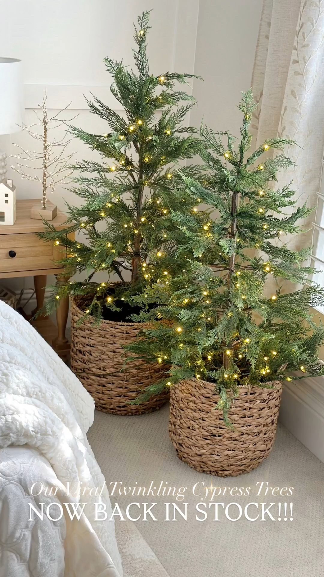 They’re back!!! Our viral 4’ cypress trees are back in stock! And more are on the way so don’t worry if they sell out again! 

#LTKSeasonal #LTKHome