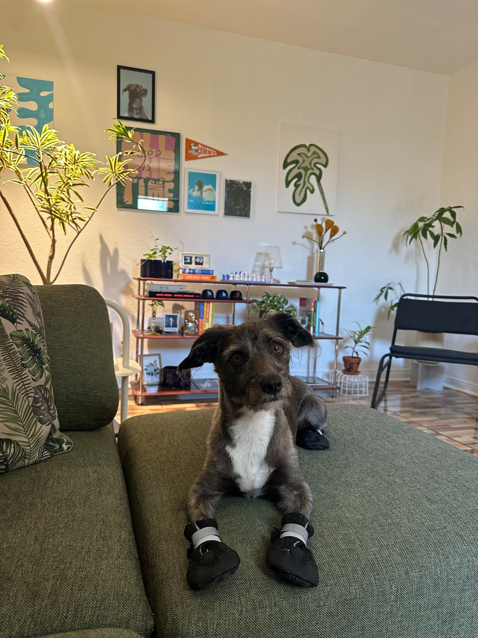 Max’s new shoes!

#LTKGiftGuide #LTKSummerEdit #LTKActive