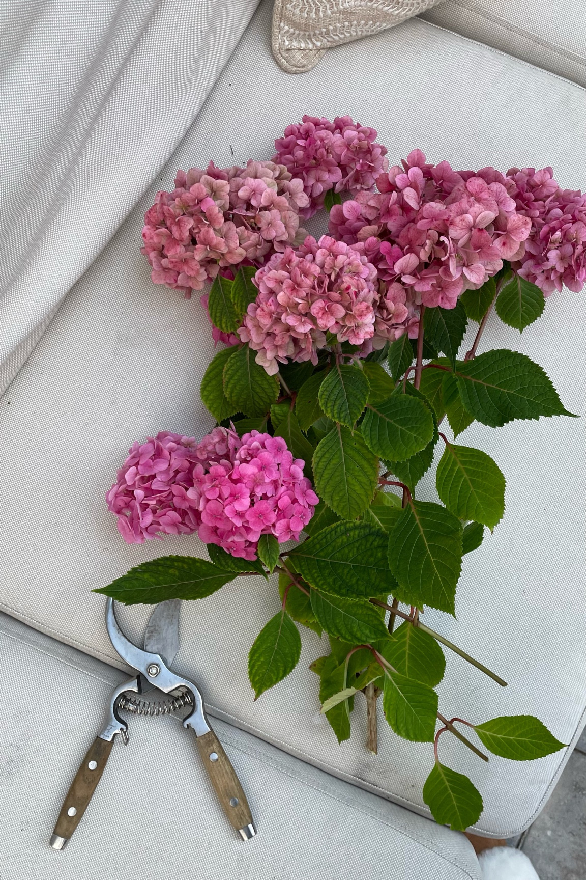 Cute wood garden shears/clippers 

#LTKhome #LTKSeasonal #LTKFind