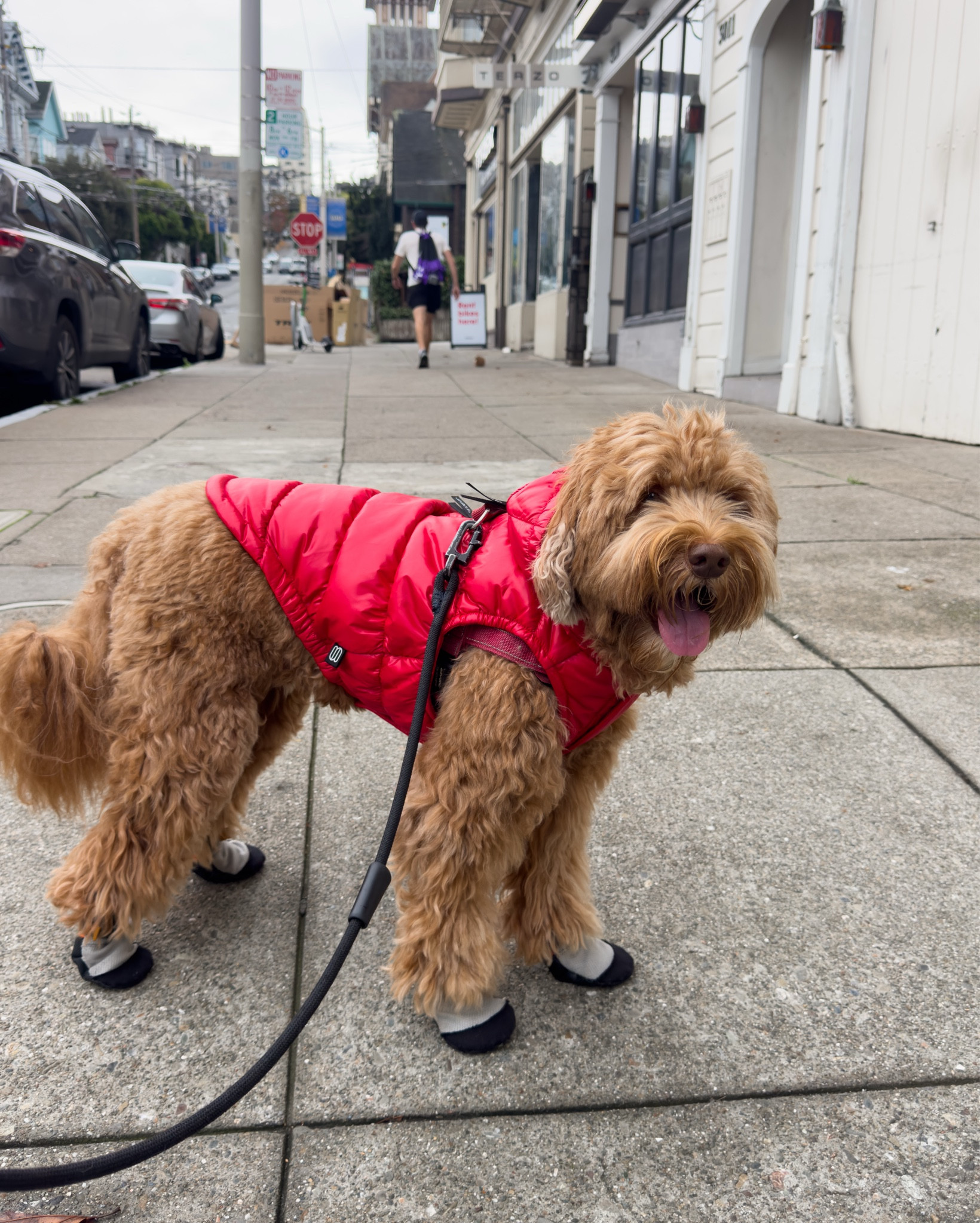 Super puff season!! Hudson is wearing a small :) he’s ~25 lbs and 17 inches tall!

I’m wearing xs in my super puff mid in matte pearl 