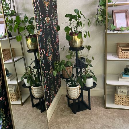 This plant stand corner might be my new favorite. Houseplants, full length mirror, shelf styling 

#LTKunder100 #LTKGiftGuide #LTKhome