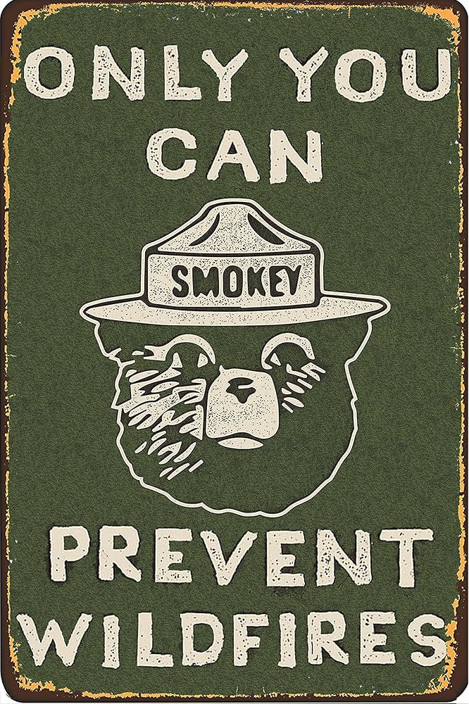 CCPARTON Vintage Metal Sign Smokey Bear Retro Metal Tin Sign Aluminum Sign for Home Coffee Wall D... | Amazon (US)