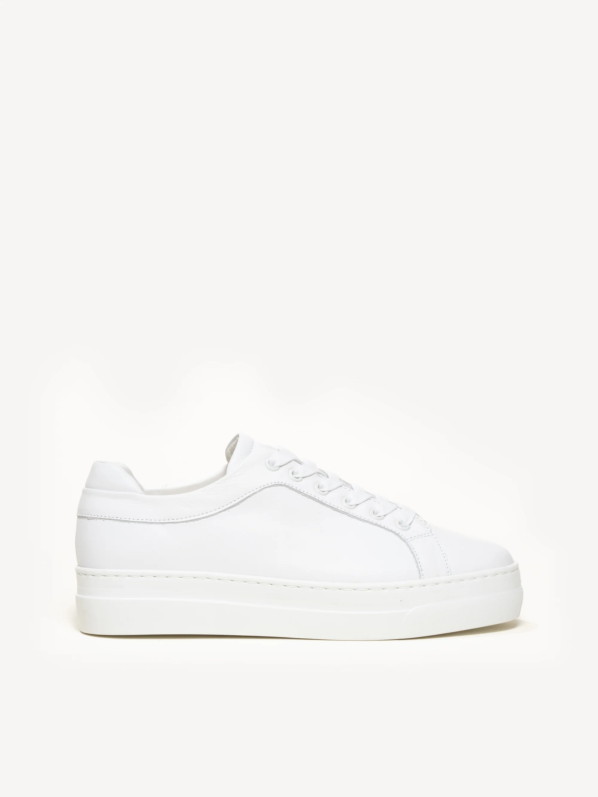 The Palestra Alta | M.GEMI