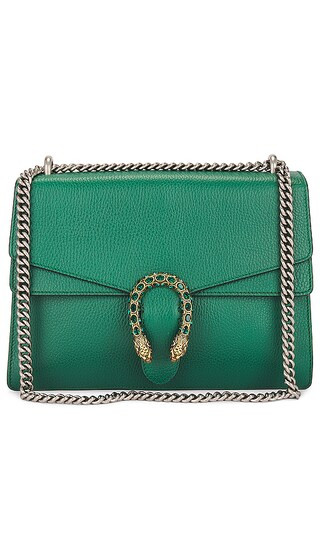 Gucci Dionysus Chain Shoulder Bag in Green | Revolve Clothing (Global)