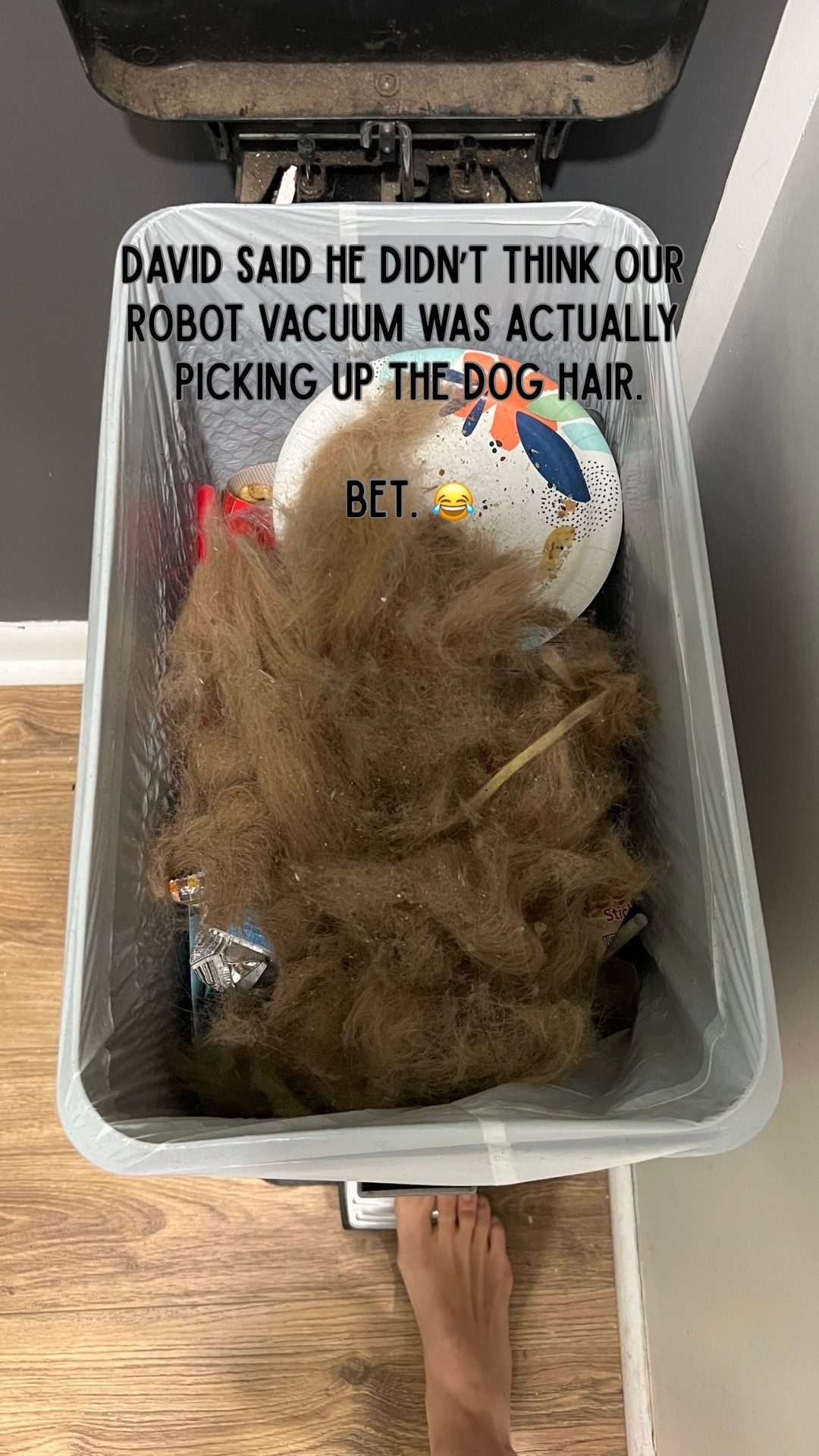 David said he didn’t think our robot vacuum was actually picking up the dog hair.

Bet. 😂

One empty later and I’d say she’s doing JUST fine. 🐕 

This is exactly why a robot vacuum is a nonnegotiable in our house with kids + a golden retriever. 

Linking ours because apparently I now have photographic evidence that she earns her keep. 😂

#LTKmomlife #LTKstorytime #LTKHome