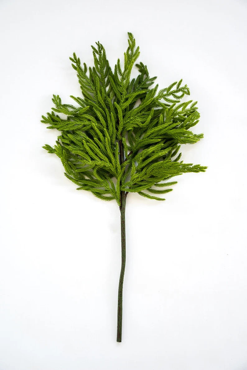 Artificial Norfolk pine branch, natural touch life like Norfolk, fake Norfolk pine, thick Norfolk... | Etsy (US)