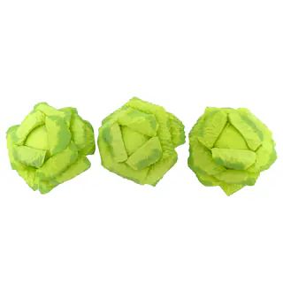 Cabbages by Ashland®, 3ct. | Michaels Stores