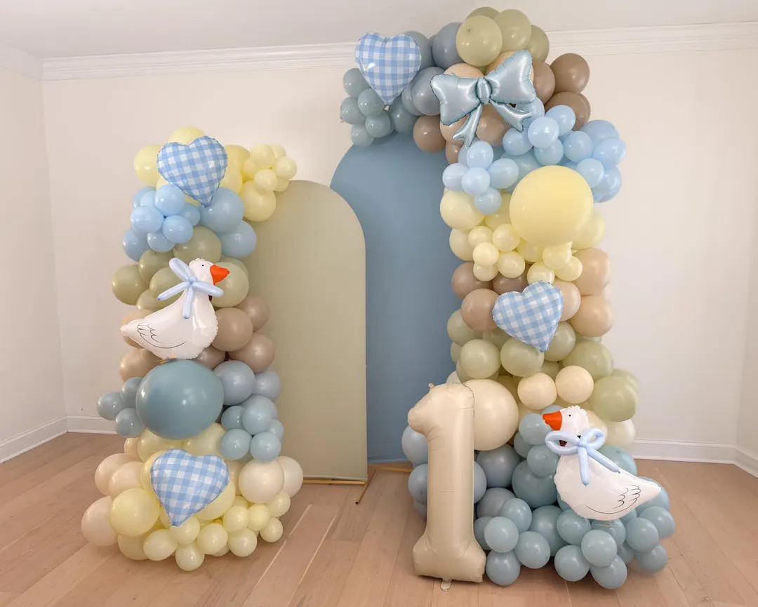 One Silly Goose Balloon Garland Balloon Arch Silly Goose Birthday Party Decorations Goose Birthda... | Etsy (US)
