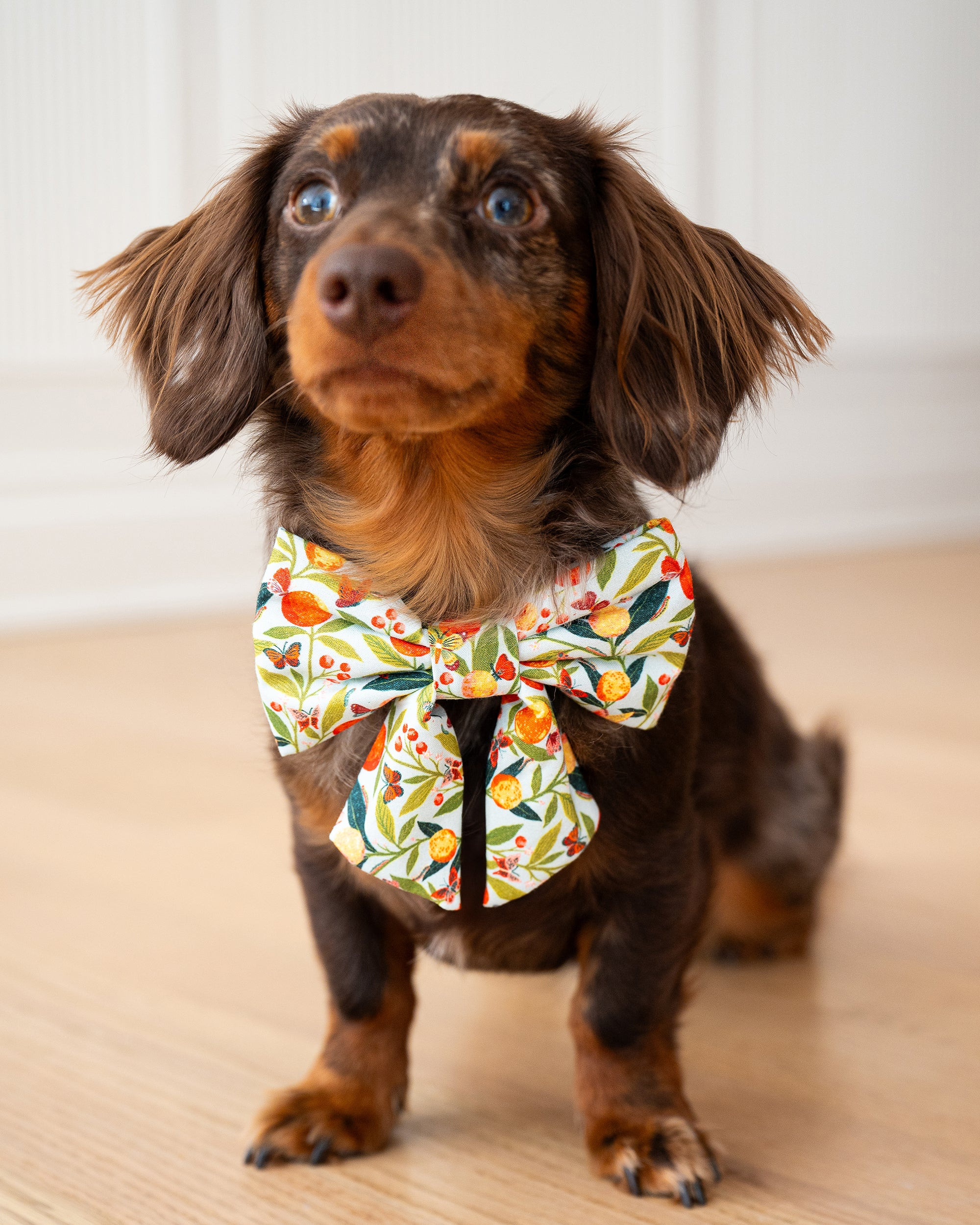 PF x The Foggy Dog Tiger Queen - Lady Dog Bow - Jade | Printfresh