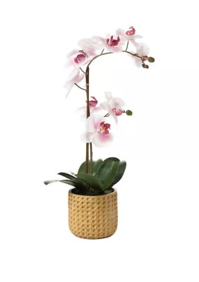 Orchid Artificial Greenery | Belk