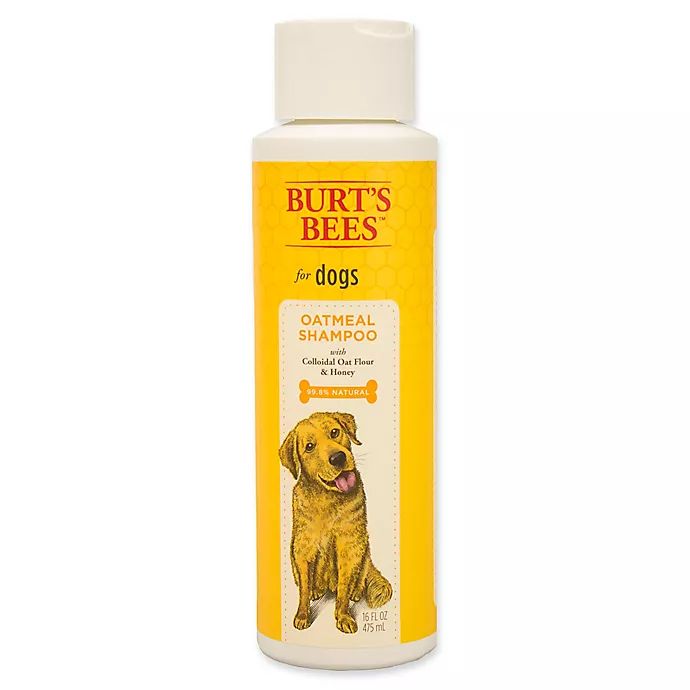 Burt's Bees® 16 fl. oz. Oatmeal Shampoo for Dogs | Bed Bath & Beyond