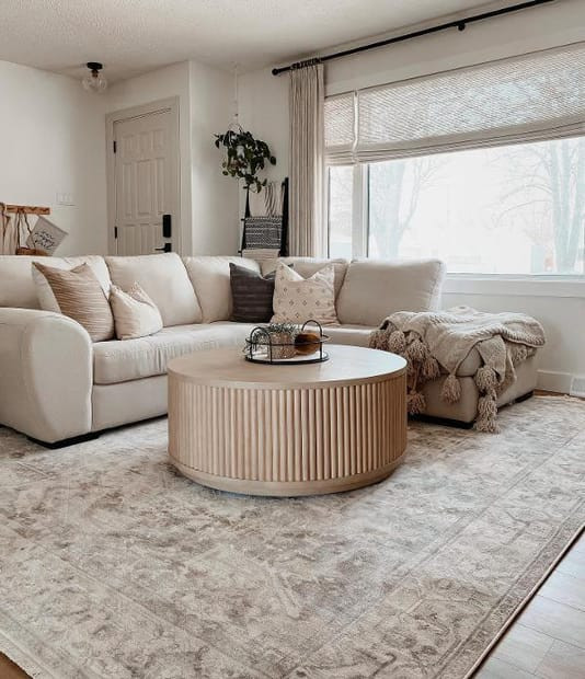 Silver Fringed Medallion Area Rug | Rugs USA