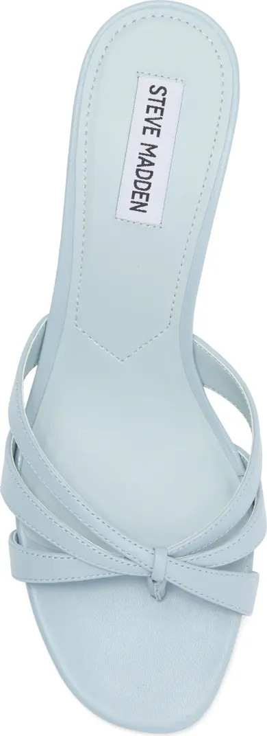 Cary Heeled Sandal (Women) | Nordstrom