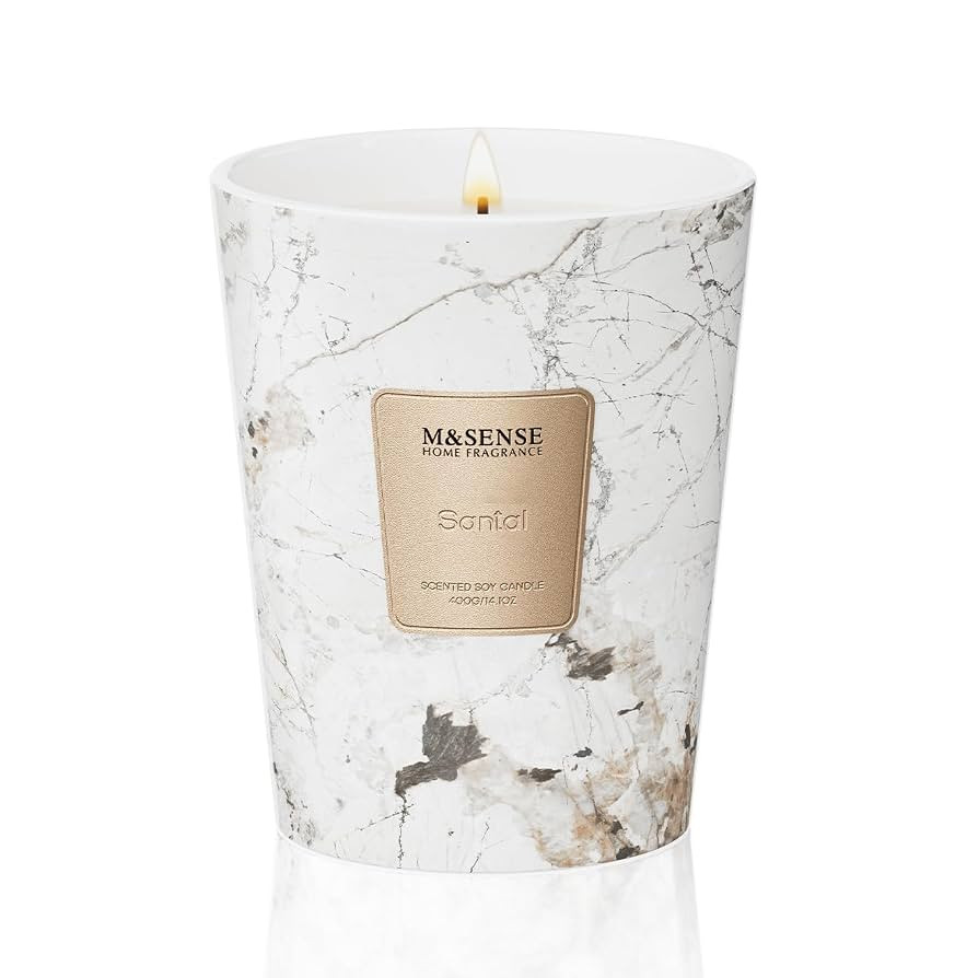 M&SENSE Santal Scented Candles for Home, Lead-Free Wick Highly Scented Jar Candles, 14.1 Oz 80 Ho... | Amazon (US)