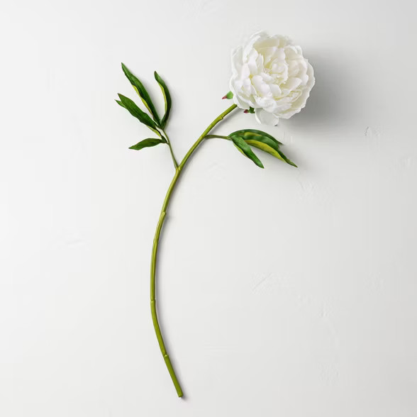 22" Faux White Peony Flower Stem - Hearth & Hand™ with Magnolia | Target