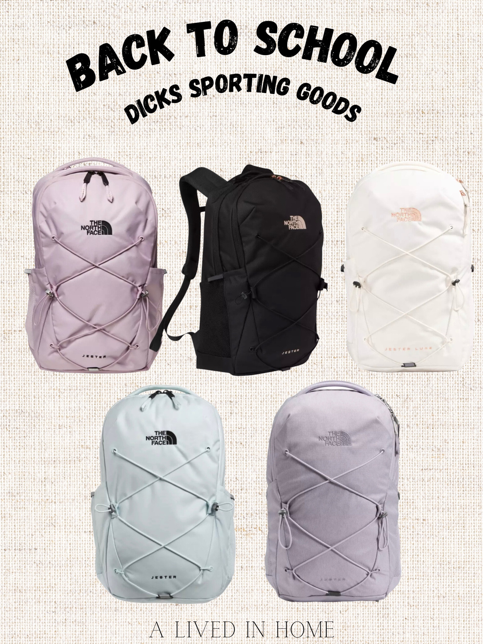 The north face backpack hot sale dicks