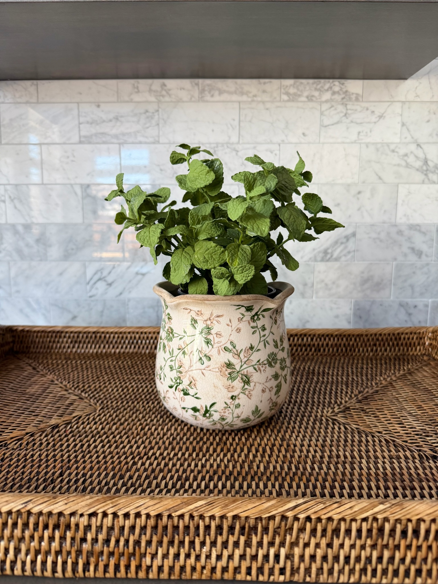 ✨ Vintage style floral planters paired with faux herbs are my favorite! 🌱 These work for spring, summer, fall… honestly year round. 🙌   

#kitchendecor #springplanters #fauxstems #herbplanters #greenery #modern home
 

#LTKdayinmylife #LTKHome #LTKSeasonal