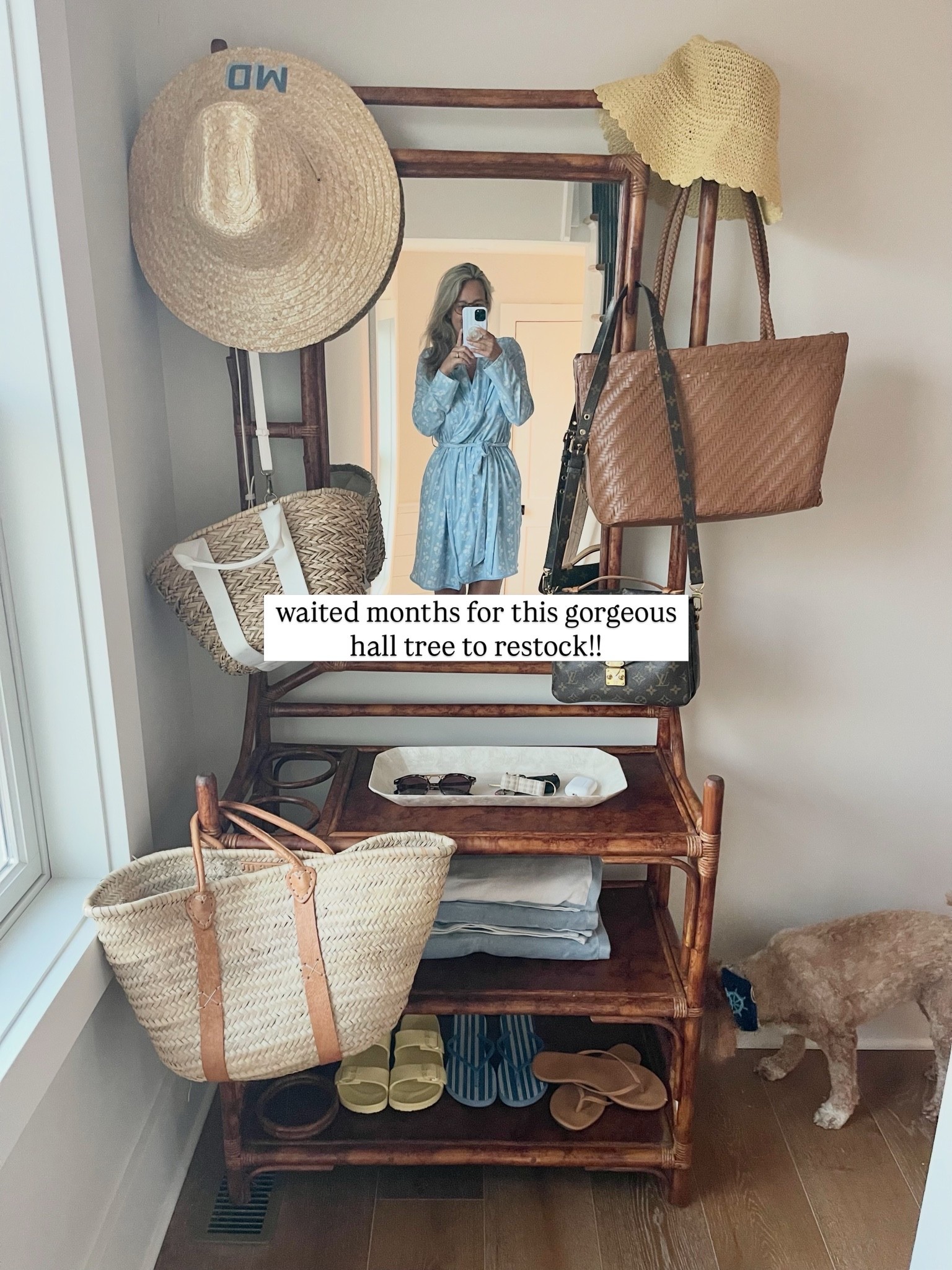Love love love this Ballard designs DUPE tortoise hall tree!! Waited months for it to restock 🙌🏻 so many hooks for all your beach bags & hats, plus shelves for towels, shoes and a key drop spot! 🤍

#LTKHome #LTKSaleAlert #LTKgrwm