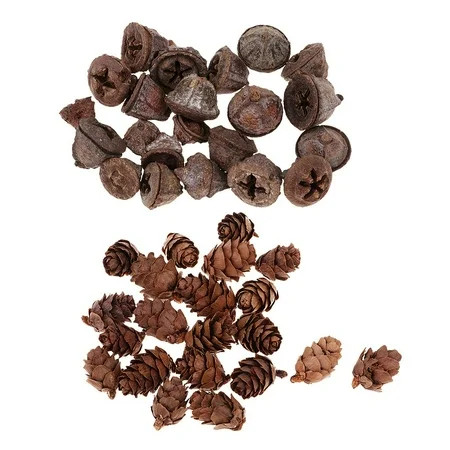 100x Dried Pine Cones for Vase Filler Display Table Decoration | Walmart (US)