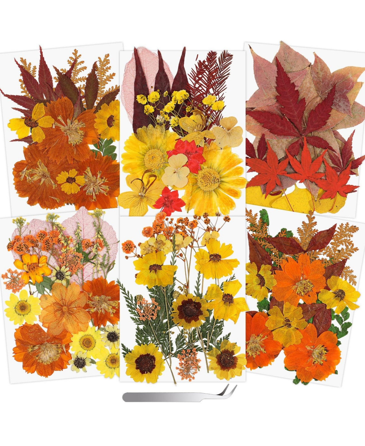 Gnuadz 100+ Real Dried Pressed Flowers Leaves Florals Tweezer Candle Scrapbooking Thanksgiving Gift - Assorted pre-pack | Macy's