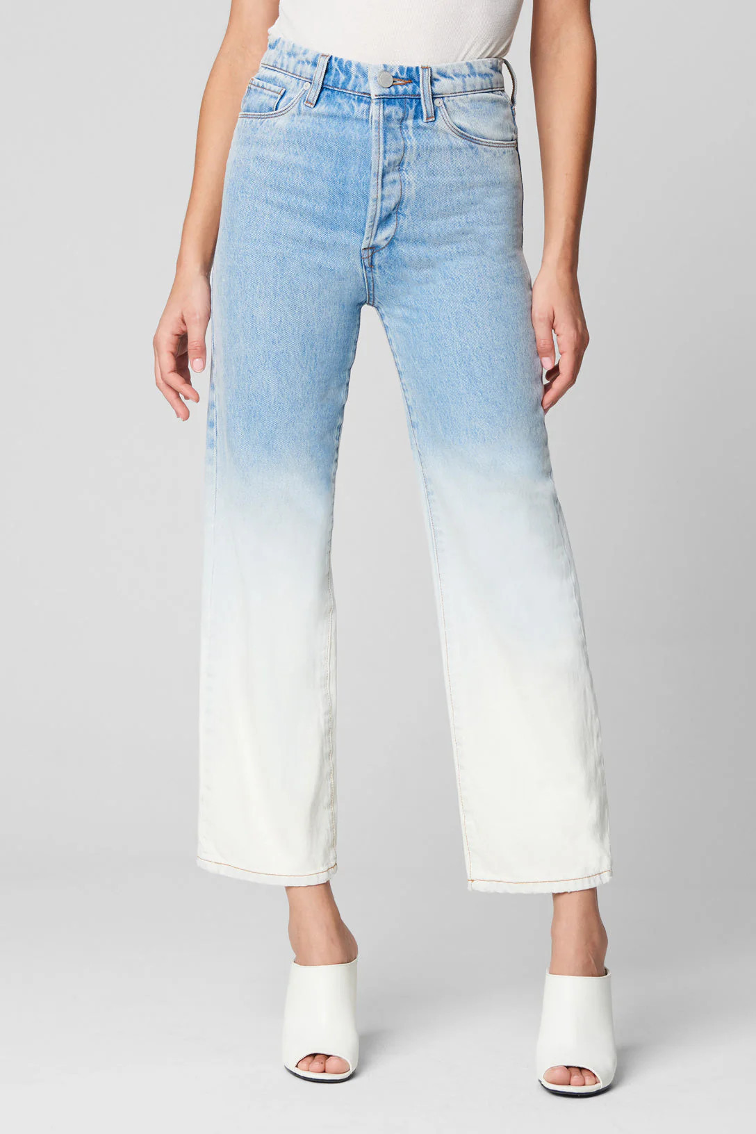 The Baxter in Toned Down | BlankNYC