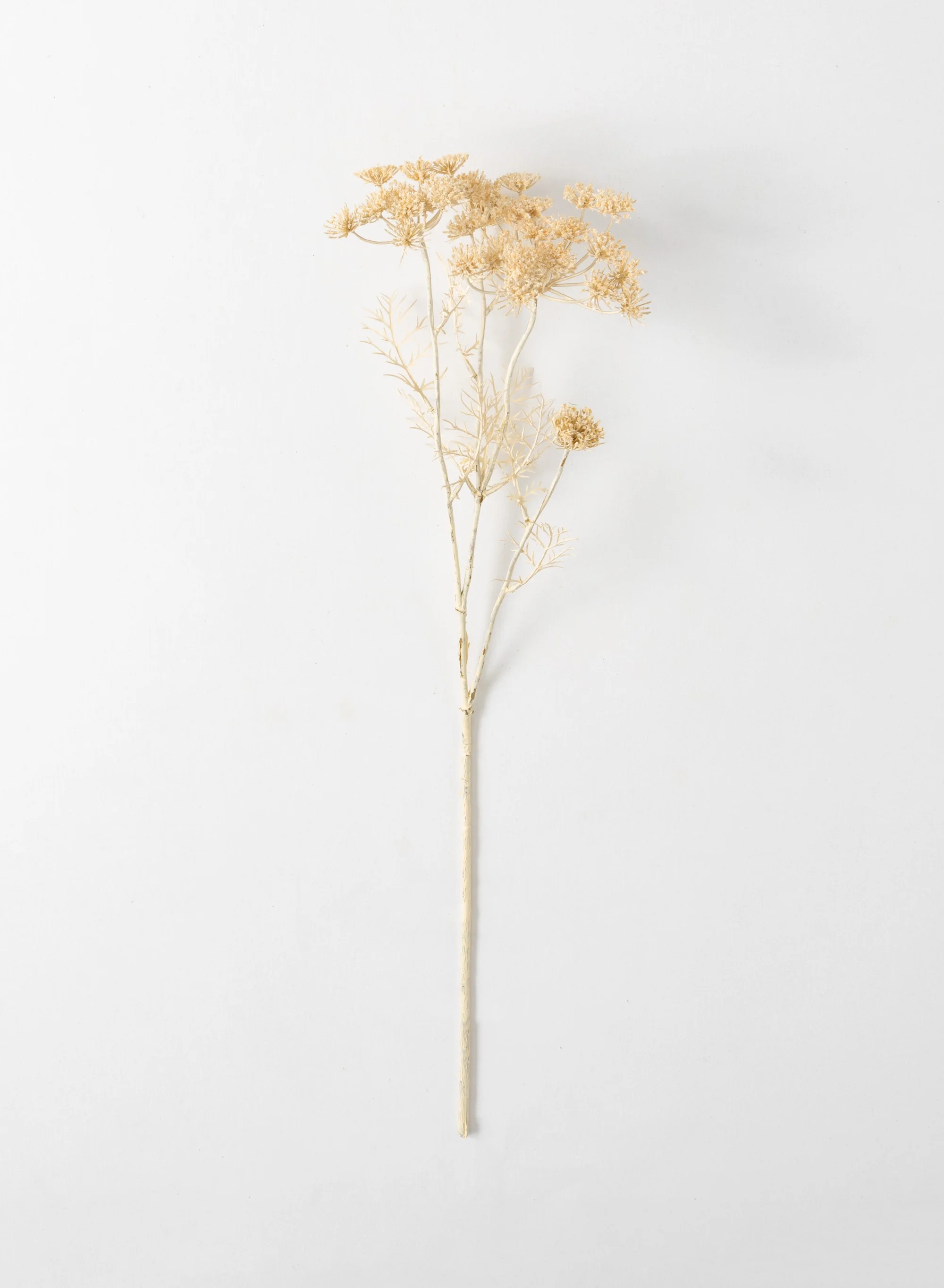 Sullivans | Walmart (US)