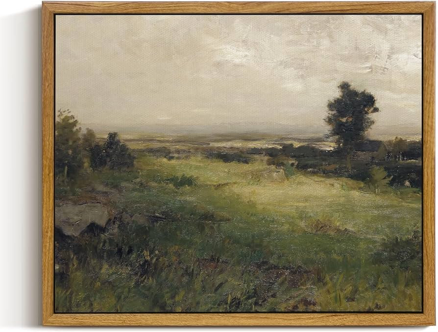 InSimSea Framed Farmhouse Wall Art for Living Room Wild Field Landscape Wall Decor for Bedroom Fa... | Amazon (US)