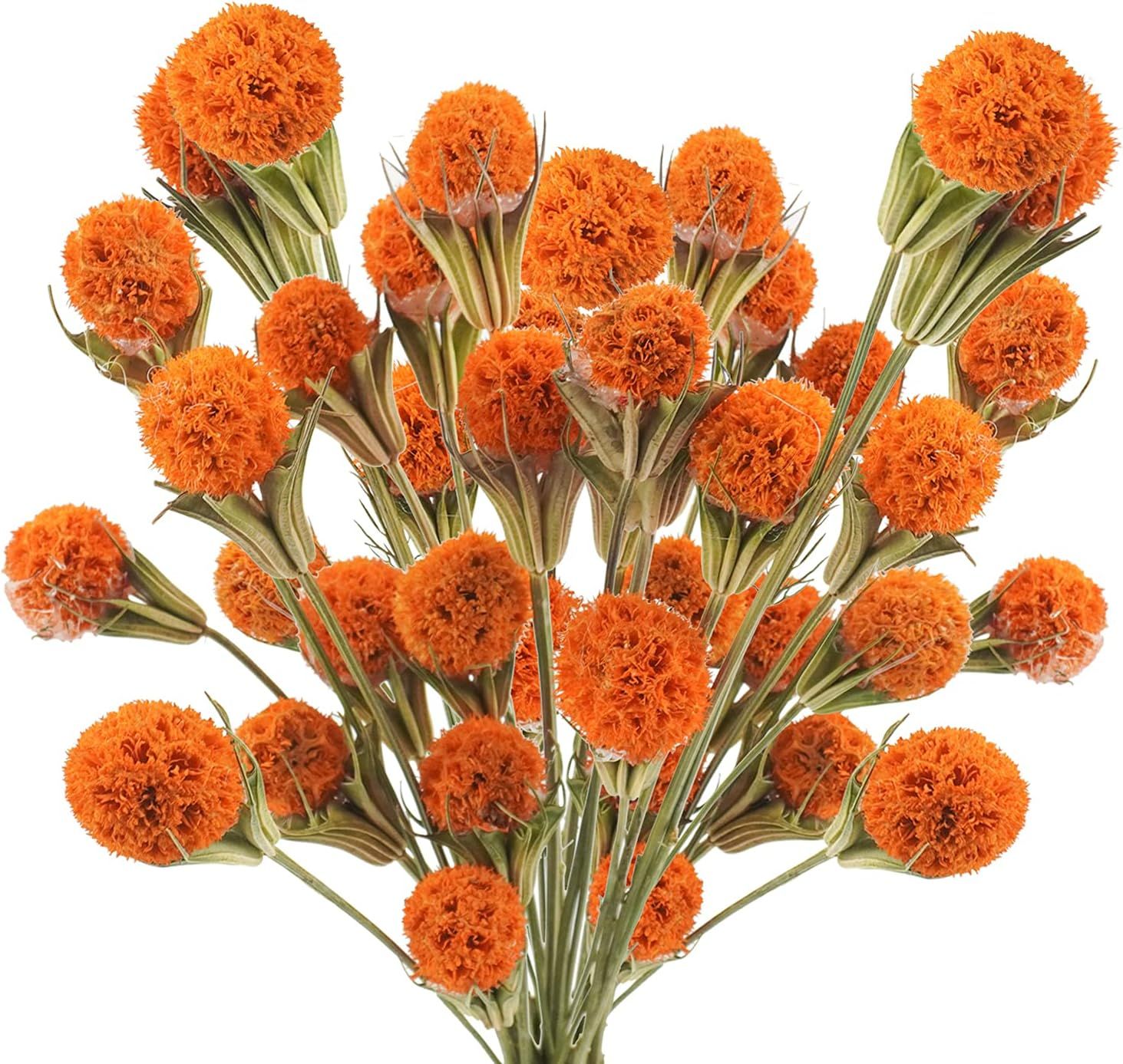 Uieke 36pcs Dried Flowers Bouquet Natural Dried Craspedia Billy Balls Bulk 17.5’’ Fake Fall O... | Amazon (US)