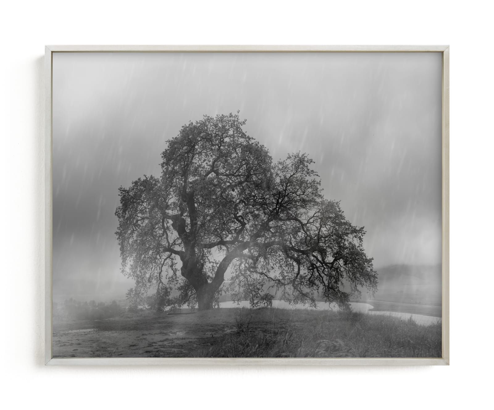 "in the rain" - Photography Limited Edition Art Print by Crystal Lynn Collins. | Minted